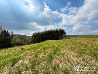 Działka rolna Hoszowczyk gm. Ustrzyki Dolne