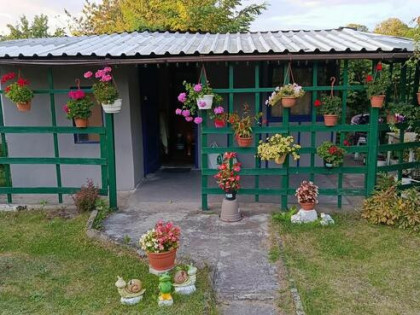 Sprzedam działkę ROD w Toruniu