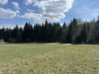 Działka budowlana przy lesie!