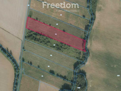Na sprzedaż działka rolna 0,99ha Gościejowice