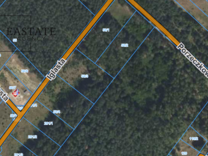 Działka Badowo-Dańki ul.  