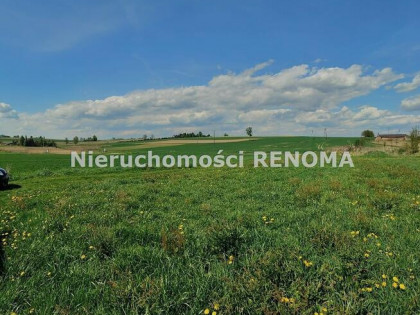 Działka Krzyżowice gm. Pawłowice, Szkolna