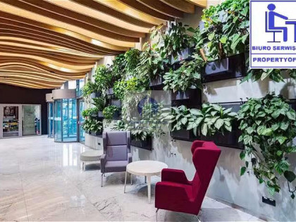 Lokal Warszawa Mokotów ul. Cybernetyki