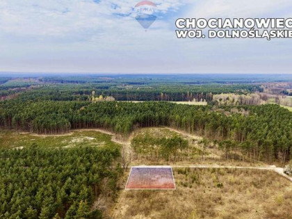 Działka budowlana w bezpośrednim sąsiedztwie lasu