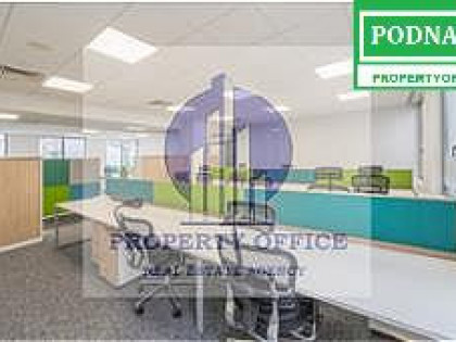 Lokal Warszawa Wola ul. Pańska