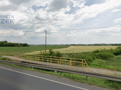 Działka Młodzieszyn ul.  