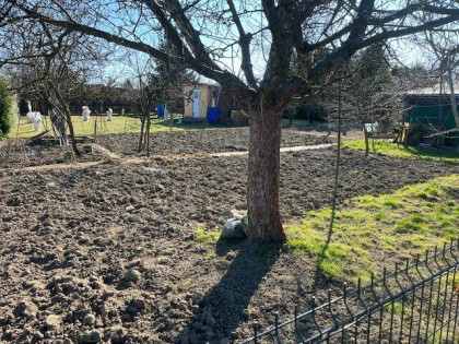 „Działka rekreacyjna - teren ROD „LOTNIK” w Mielcu”