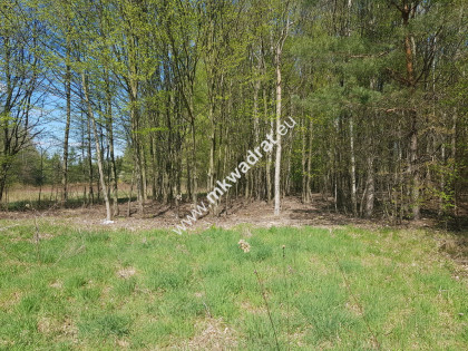 Działka 1030 m Budy Mszczonowskie