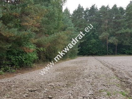 DZIAŁKA W OTULINIE LASU Budy Wolskie