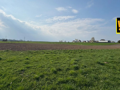 Działka Dzimierz ul.  