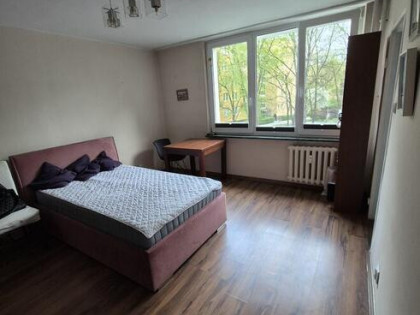 Saska Kępa kawalerka do wynajecia