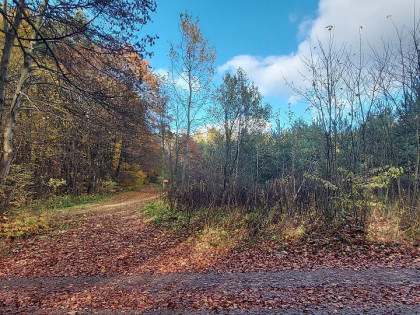 Działka Dąbrowa Górnicza Trzebiesławice