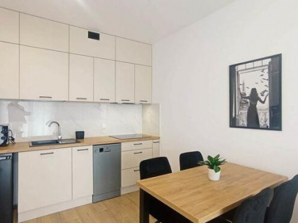 Kawalerka z balkonem i mp., pet friendly, Pagi 11