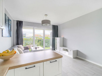 Mieszkanie Poznań Winogrady, Hawelańska