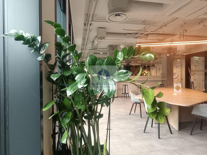 Lokal Warszawa Śródmieście ul. Nowogrodzka