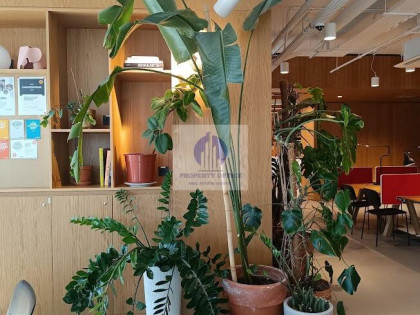 Lokal Warszawa Śródmieście ul. Świętokrzyska