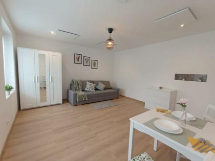 Przytulna kawalerka, pet-friendly, Kościelna 14