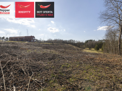 Działka Michalin ul.  