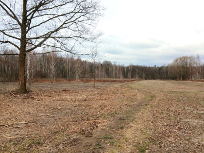 Działka Koryta ul. Północna