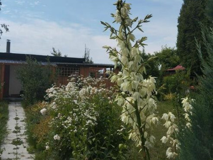 Sprzedam ładną działkę ROD. /można używać cały rok/