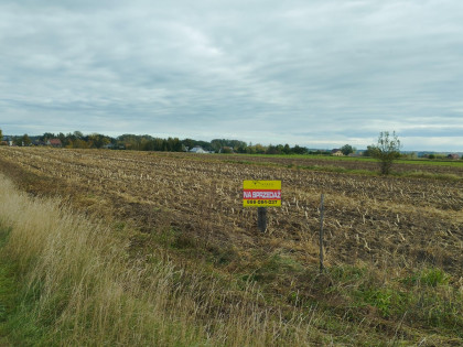 Działka Baranowo