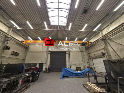 Lokal użytkowy Świdnica, Przemysłowa