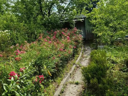 Działka ROD Sasanka Warszawa