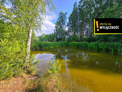 Działka Żuków ul.  