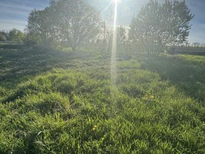 Działka bud na sprzedaż