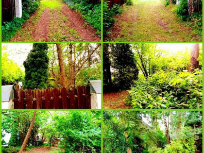 DWA DOMY CAŁOROCZNE DWIE DZIAŁKI NA WSI POD LASEM OKAZJA