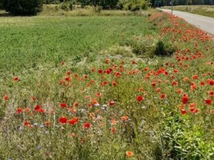 Działka nad jeziorem, budowlana (1014 m2) Mstowo ok. Chodcza