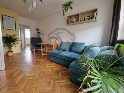 Bobrza: Parkiet, Park i Potencjał.