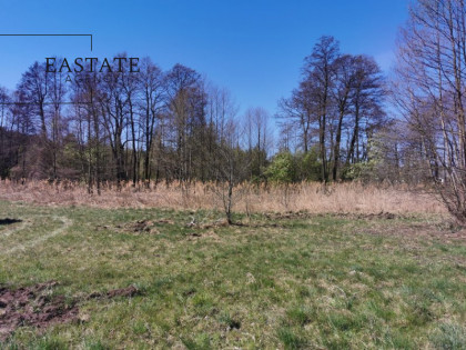 Działka Wola Gołkowska ul.  