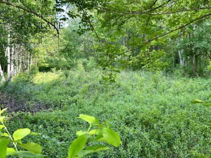 Działka Góra Kalwaria Marianki ul. Walewicka