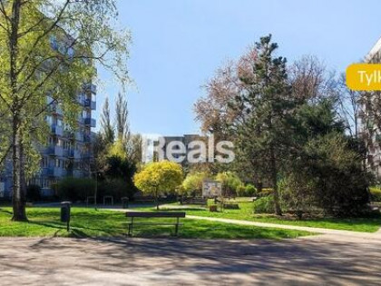 Ciche wśród zieleni Sadów Żoliborskich