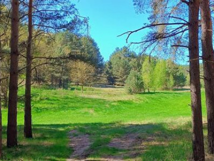 Działka 6005 m², Blisko jeziora i lasu, Inwestycja