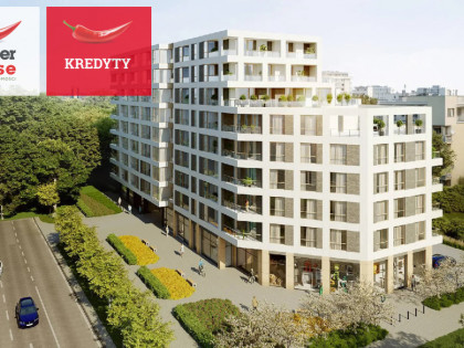 Lokal Warszawa Mokotów rynek pierwotny ul. Domaniewska