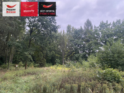 Działka Skierniewice ul.  
