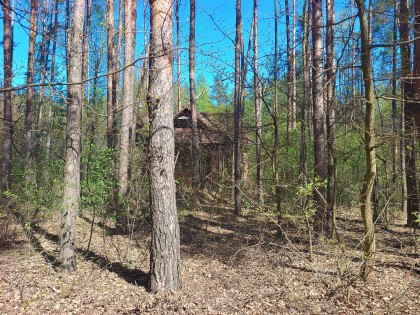 Działka Jeziórko ul. Lipowa