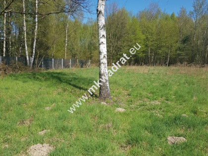 Działka - druga linia zabudowy