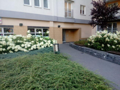 Wola, ul. Radziwie 7, 32 m2, meble, AGD - 3000 zł