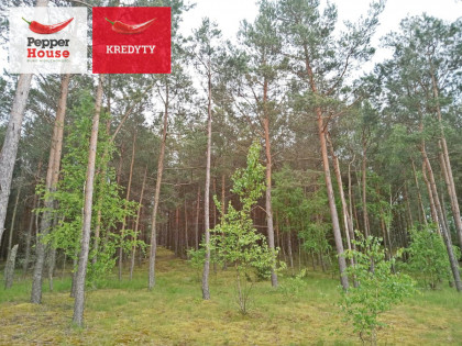 Działka Legbąd ul. Szkolna