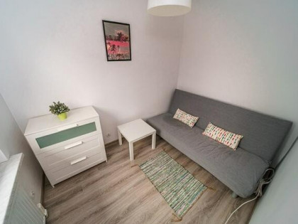 Wynajmę kawalerkę pet-friendly - Lisa 14 A