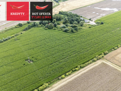 Działka Wielkie Walichnowy ul.  