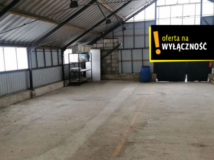 Lokal Kielce Zagórze ul. Cedro Mazur