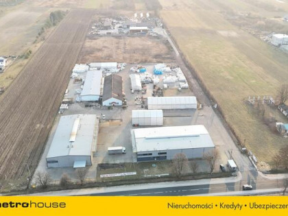 Hala produkcyjno-magazynowa 1000 m + Buro i socjal