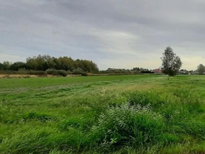 Pęcice Małe - zielona okolica