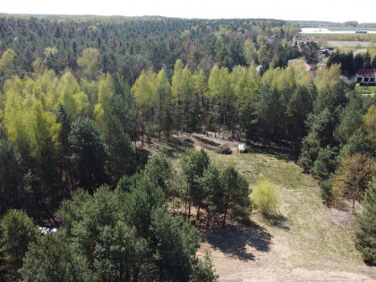Działka 3117 m2 pośród drzew w Kowali gm. Puławy.