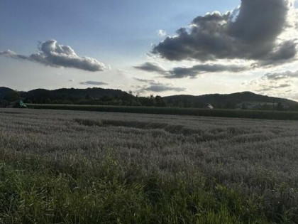 Duża działka Goleszów, między Ustroniem a Cieszynem