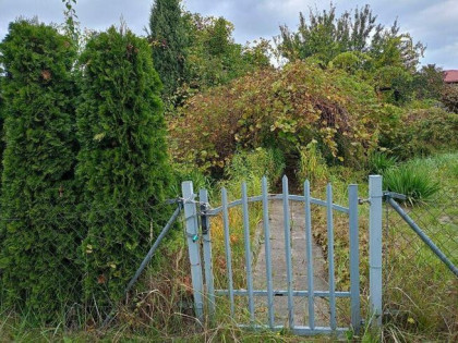 Ogródek działkowy ROD przy CKD